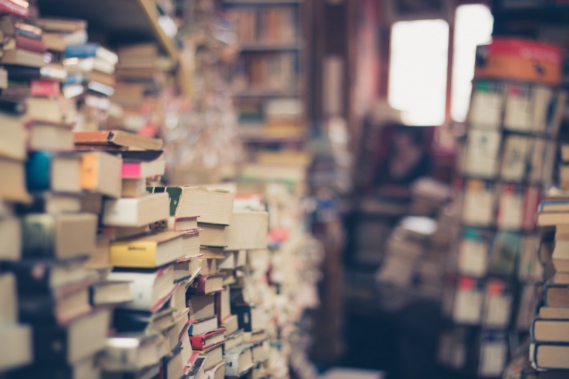 boutique-ROQUEBRUNE SUR ARGENS-min_books_stack_book_store_stack_of_books_2nd_hand_retro_hipster_shop-829090